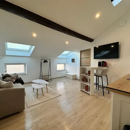 Centre Proche Gare Tvg Apartmán Nancy