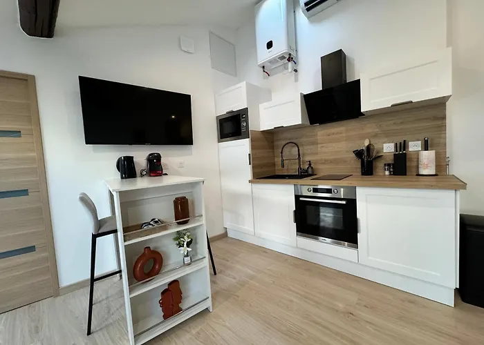 Centre Proche Gare Tvg Nancy